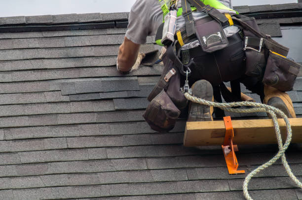 Best Roof Gutter Cleaning  in Clarksville, VA